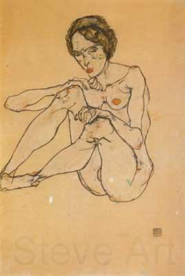 Egon Schiele Nude Woman (mk12) Norge oil painting art